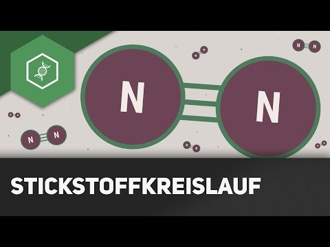 Nitrogen cycle explained simply - Matter cycles 1