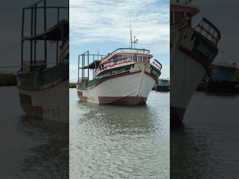 olha os Barcos de pesca da cidade de Icapuí-Ce #ocean #pescaria
