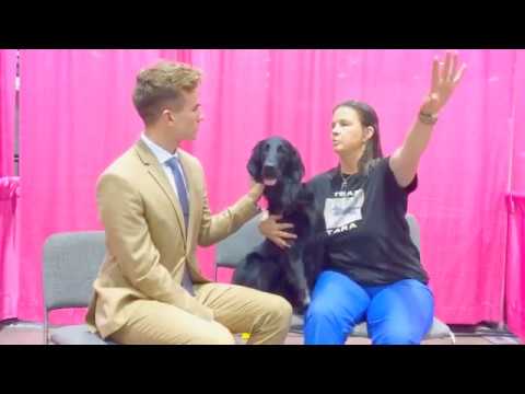 Mary Pat Corrigan chats with Michael Hill about Tara, her flat-coated retriever. #caninechronicletv