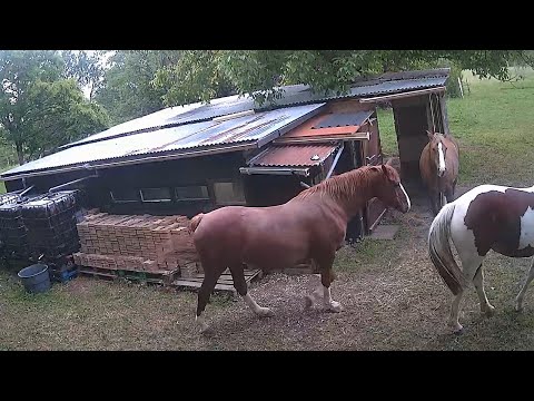 What Causes Video Loss in Security Cameras?  Quick Fixes