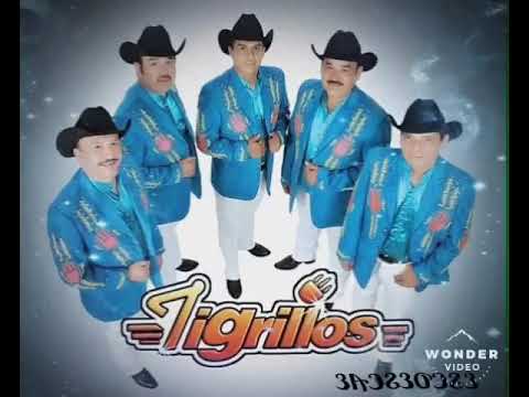 Los Tigrillos La Vampiresa