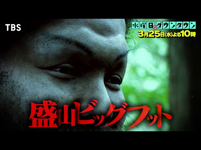 水曜日のダウンタウン#452🈑