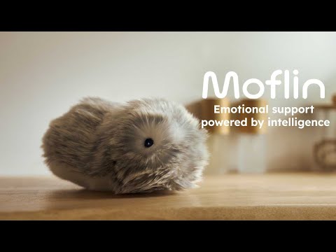Moflin Review Video 1
