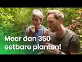 Het voedselbos als toekomst?
