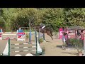 &agrave; louer  - cheval de sport confirm&eacute; 