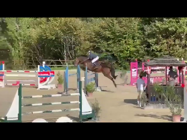 &agrave; louer  - cheval de sport confirm&eacute; 