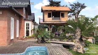 Biệt thự sân vườn, Nhà gỗ trên cây của một đại gia thích làm mộc