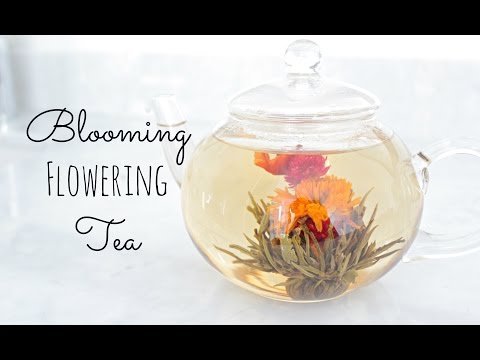 download lagu mp3 mp4 Buy Flowering Tea, download lagu Buy Flowering Tea gratis, unduh video klip Buy Flowering Tea