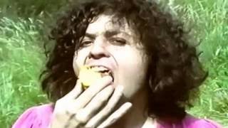 Marc Bolan & T. Rex - Shy Boy