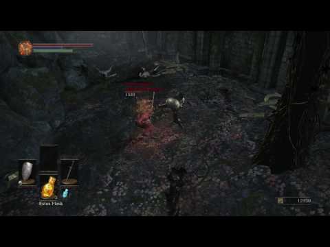 Dark Souls 3 - Horace the Hushed vs Holy Knight Hodrick