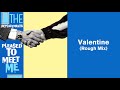 The Replacements - Valentine (Rough Mix) (Official Audio)