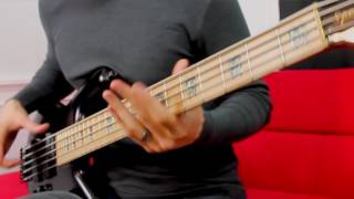 Bass Play Through • The Warden • Nathan Narvarro • Scale The Summit