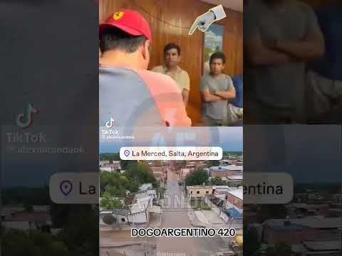 #argentina #noticias #política