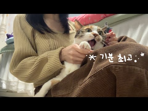 공격하는거 아니에요, 좋아서 표현하는 거예요 (아마도)