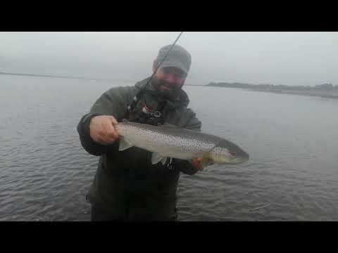 Limfjorden – februar 2020