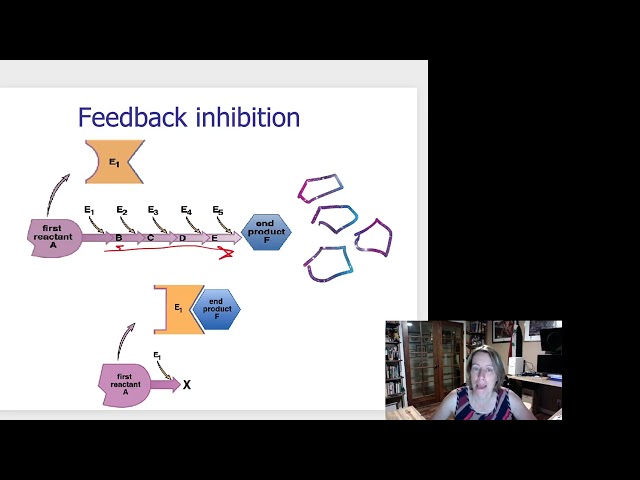 Understanding Feedback Inhibition: A Key Mechanism in Metabolism ...