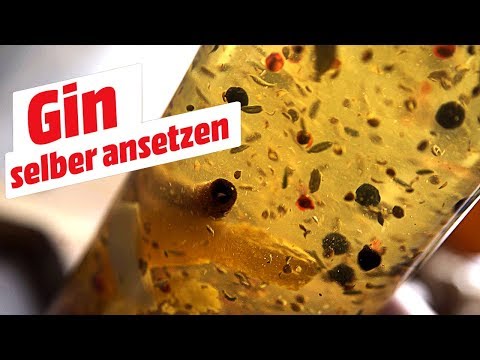 Gin selber ansetzen • Koch-Mit