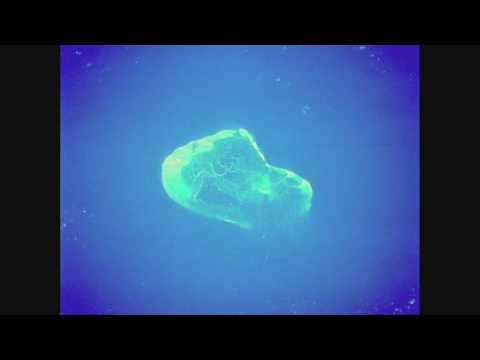 Loui Fernandez - Unusual (Original Mix)