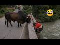 Try Not To Laugh Top 100 Funniest Videos Ever Memes Epic Fails Pranks Compilation 2026 Part 6