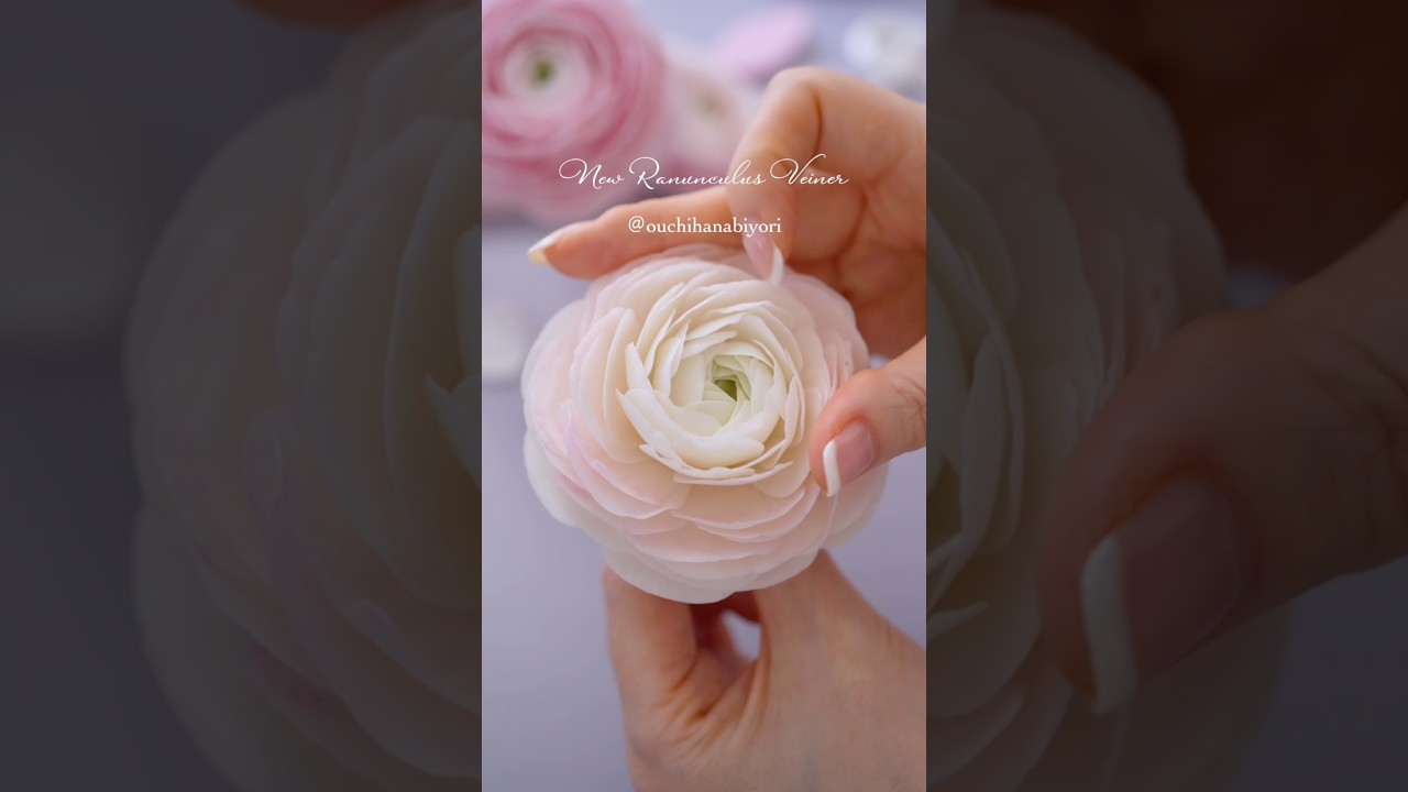 Pressing Ranunculus Petals ✨veiner clay flowerラナンキュラスのベイナー　クレイフラワー