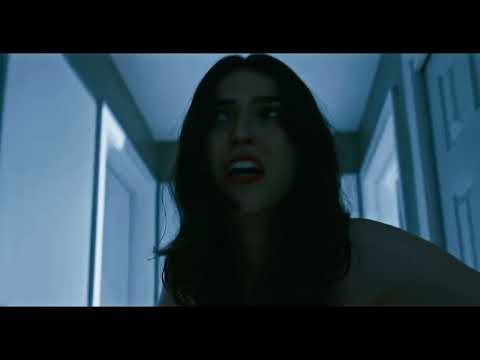 Reflection Trailer