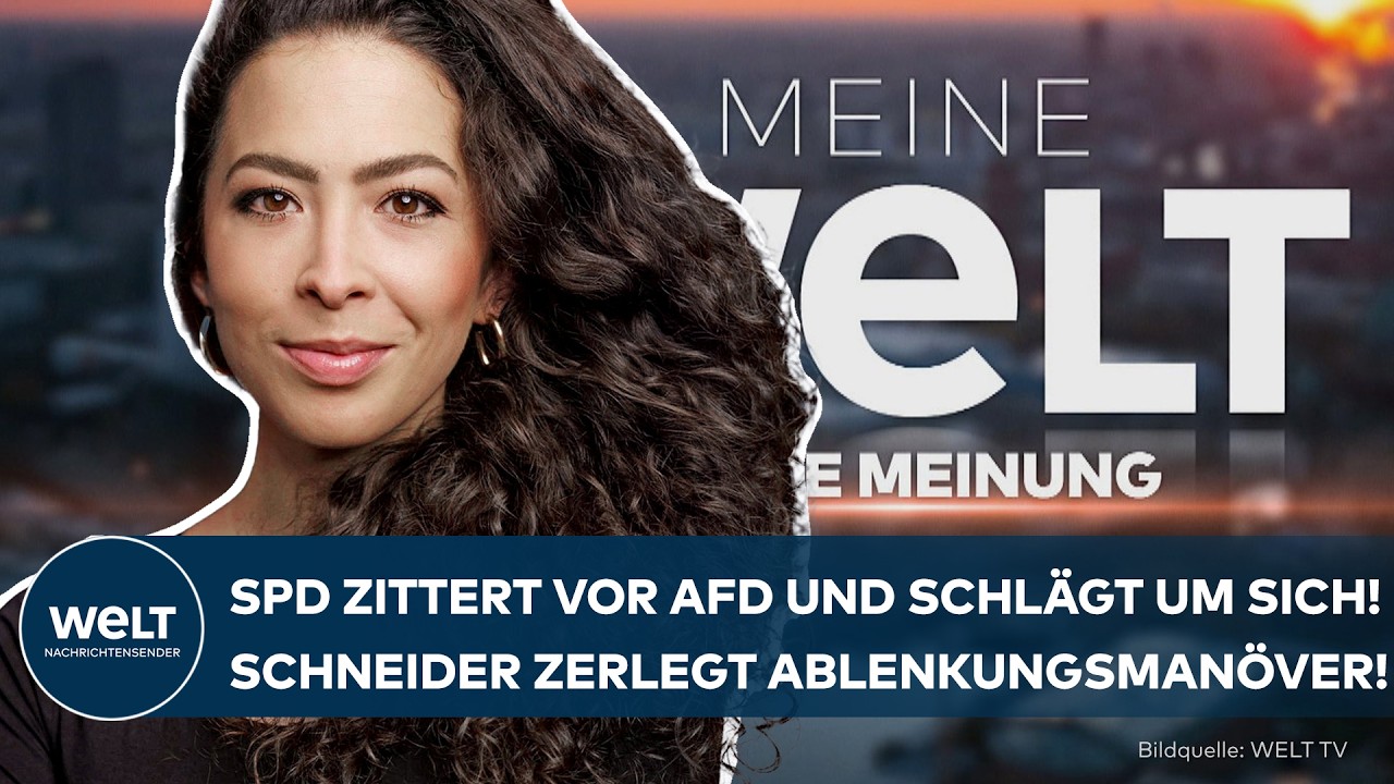 AFD-HÖHENFLUG: SPD zittert und schlägt um sich! Schneider zerlegt Ablenkungsmanöver! | Meinung