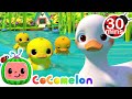 Five Little Duckies 30 MIN LOOP Animal Songs For Kids
