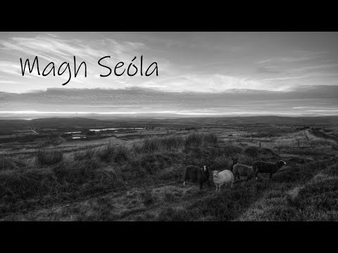 Magh Seóla (Tin Whistle)