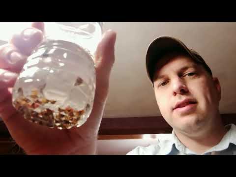 download lagu mp3 mp4 Lady Beetle Killer, download lagu Lady Beetle Killer gratis, unduh video klip Lady Beetle Killer