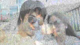 for my meteor flower