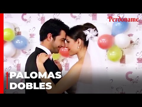 El Camino Hacia La Felicidad de Bahar y Kemal - Perdóname
