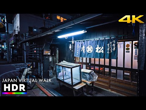 Japan - Tokyo suburb night walk in Ota ward • 4K HDR