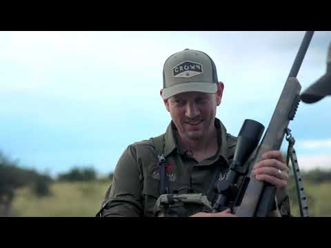 Blue wildebeest hunt in Namibia !