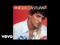 Vinícius Cantuária - Chegou No Vento (Pseudo Video)