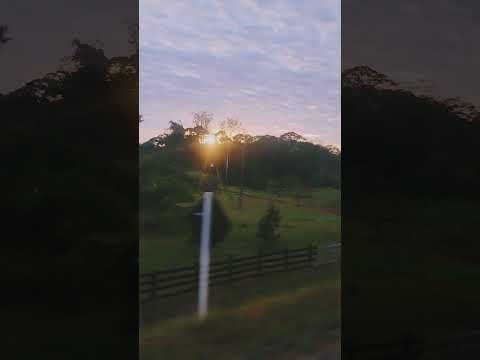 meu bom dia vai direto das estradas de Mato Grosso.