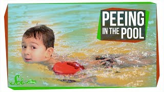 Why Peeing in the Pool Could Be Dangerous | Disinfection By-Products