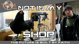 How to SAVE MONEY When Building Barn Stalls