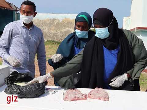 GIZ - SMART ACTION FNP PROJECT