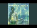 Tears From The Compound Eye by Boards of Canada