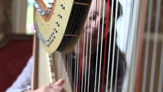 Clocks by Coldplay on the harp