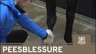 Mijn pony zit weer lekker in zijn vel!