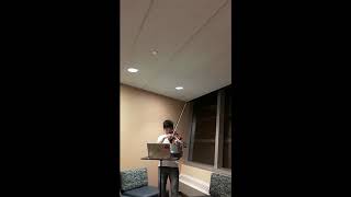 Lulu and Shaco's Quirky Encounter - VIOLIN COVER - CHARLIE LIN