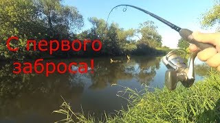 Рыбалка на можайке сегодня отчеты