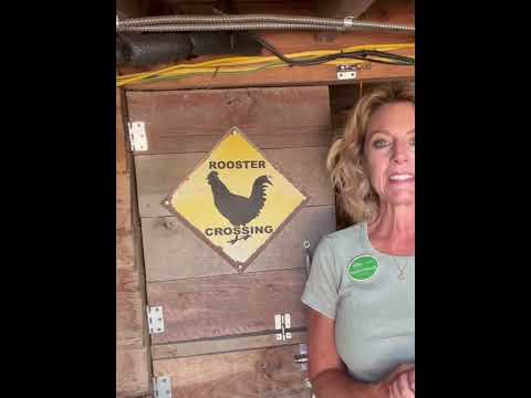 Investment property for sale on Beaver Lake Arkansas