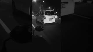 Download lagu Status WA Edisi kangen Jogja mp3 Download lagu Status WA Edisi kangen Jogja mp3