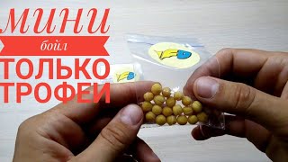 Ловля на мини бойлы с резинкой