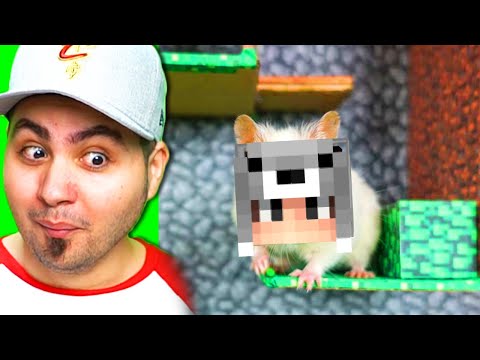 IL MIO AMICO GIORGIO SCAPPA DAL LABIRINTO DI MINECRAFT!!!