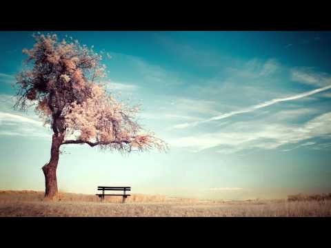 [1 Hour] Healing Tambura - Throat Chakra Meditation Music | Taanpura Sounds