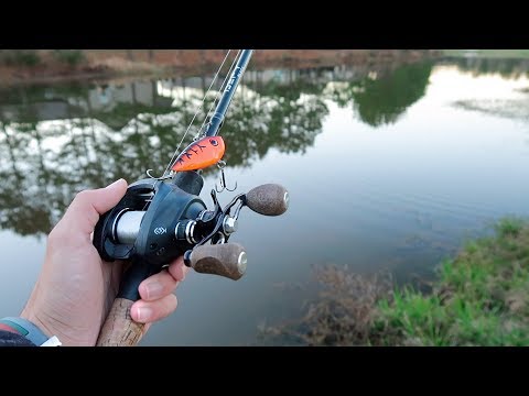 Fishing a SECRET Urban Pond (LOADED W/ HUGE BASS)