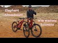 Mountain Bike Safari Botswana Part 2 Of 3 Tree Camp Kgotla Adventures In Mashatu